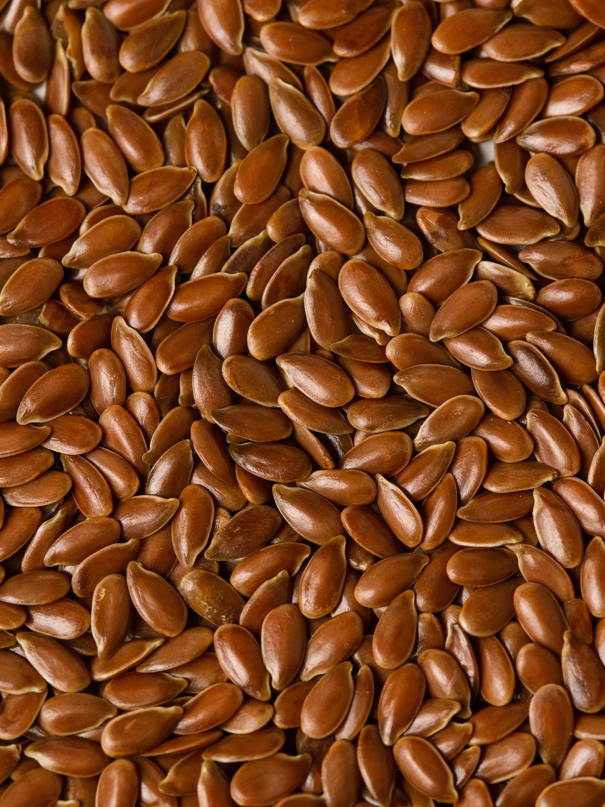 macro. coarse brown meal.